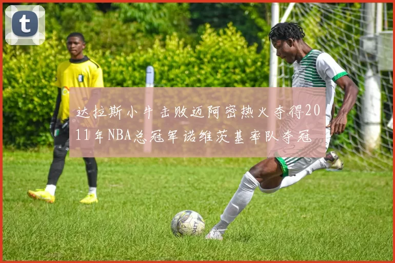 达拉斯小牛击败迈阿密热火夺得2011年NBA总冠军诺维茨基率队夺冠