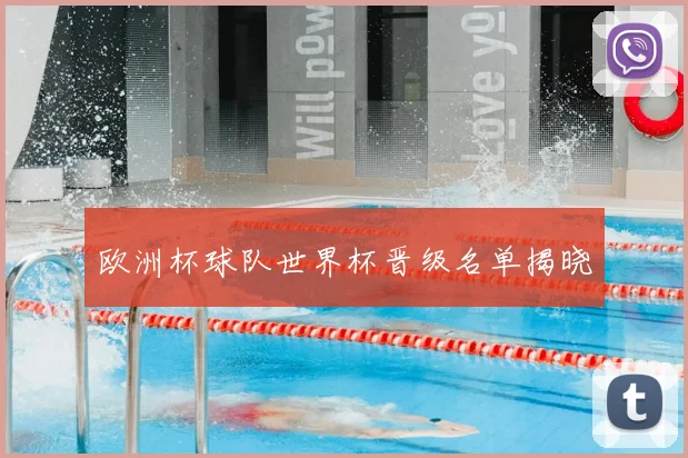 欧洲杯球队世界杯晋级名单揭晓