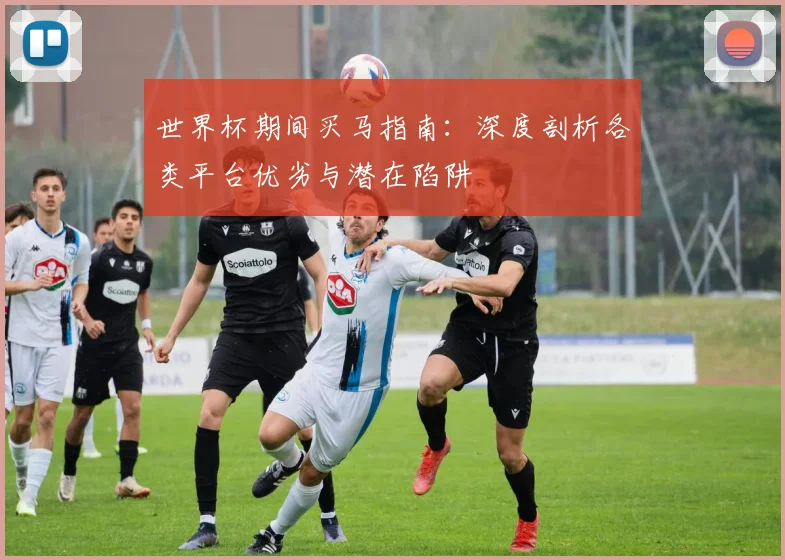 世界杯期间买马指南:深度剖析各类平台优劣与潜在陷阱