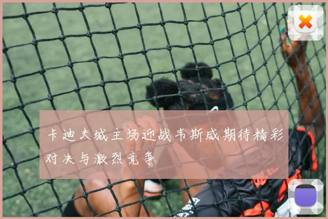 卡迪夫城主场迎战韦斯咸期待精彩对决与激烈竞争