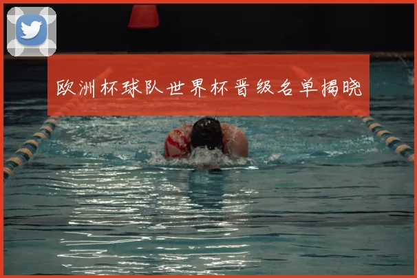 欧洲杯球队世界杯晋级名单揭晓