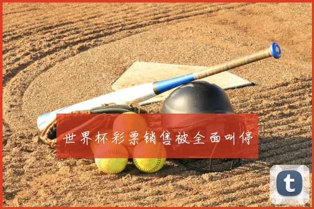 世界杯彩票销售被全面叫停