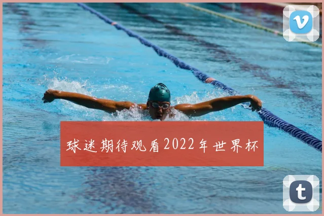 球迷期待观看2022年世界杯