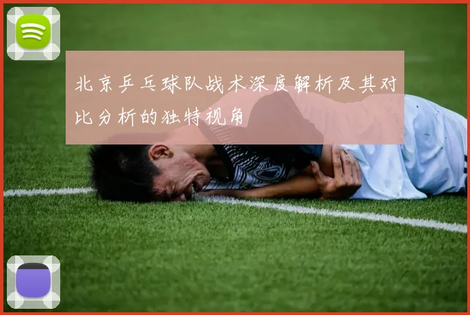 北京乒乓球队战术深度解析及其对比分析的独特视角