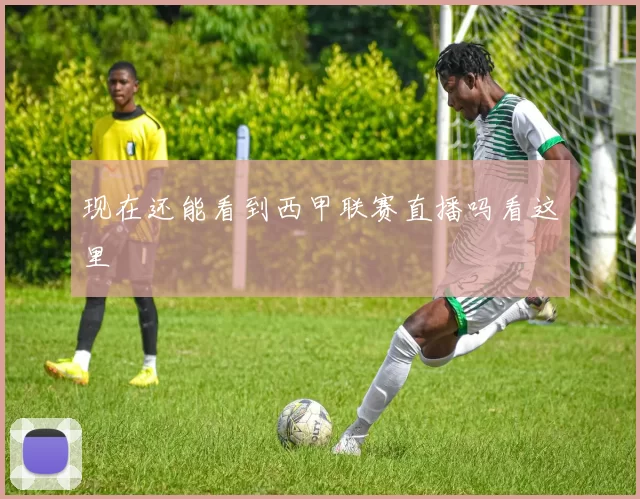 现在还能看到西甲联赛直播吗看这里