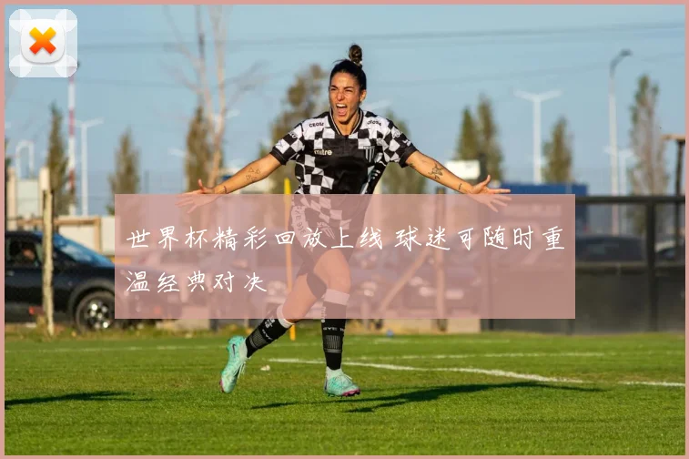 世界杯精彩回放上线 球迷可随时重温经典对决