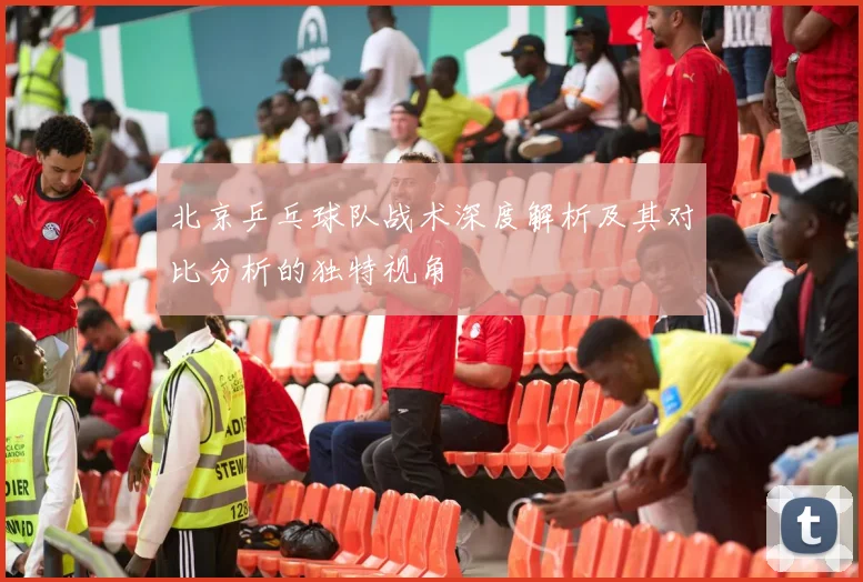 北京乒乓球队战术深度解析及其对比分析的独特视角