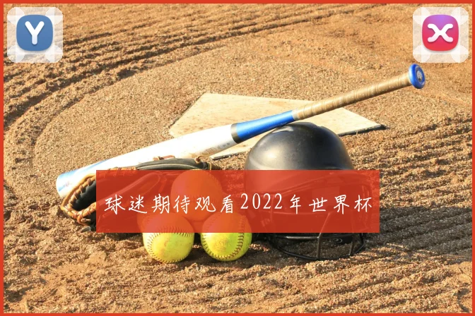 球迷期待观看2022年世界杯