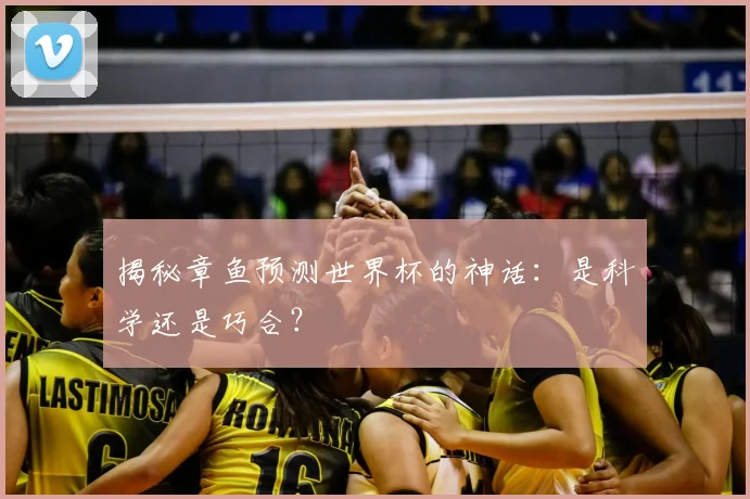 揭秘章鱼预测世界杯的神话:是科学还是巧合?