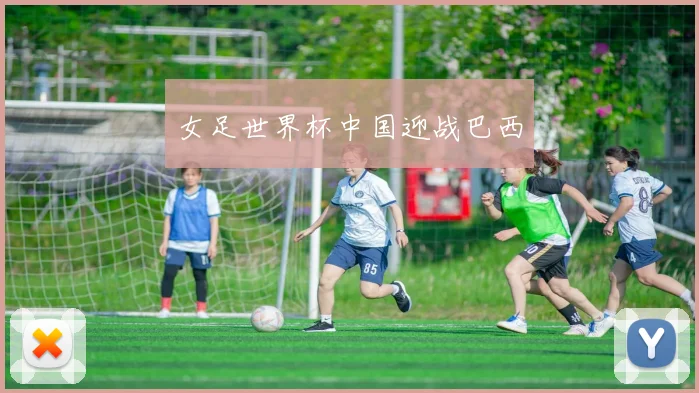 女足世界杯中国迎战巴西