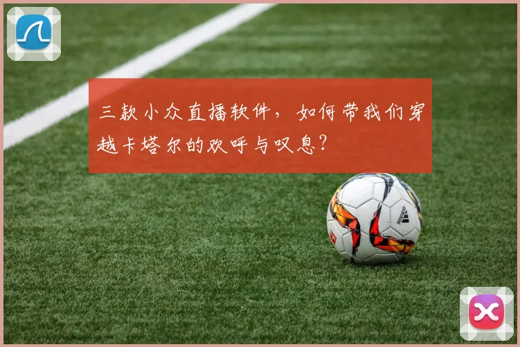 三款小众直播软件,如何带我们穿越卡塔尔的欢呼与叹息?