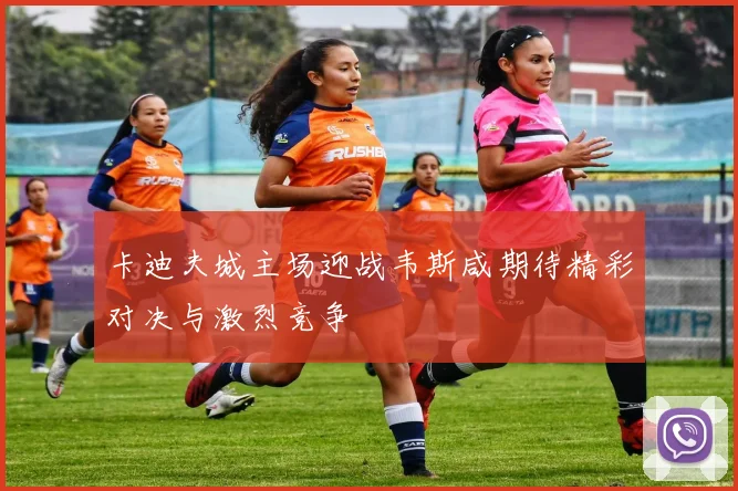 卡迪夫城主场迎战韦斯咸期待精彩对决与激烈竞争