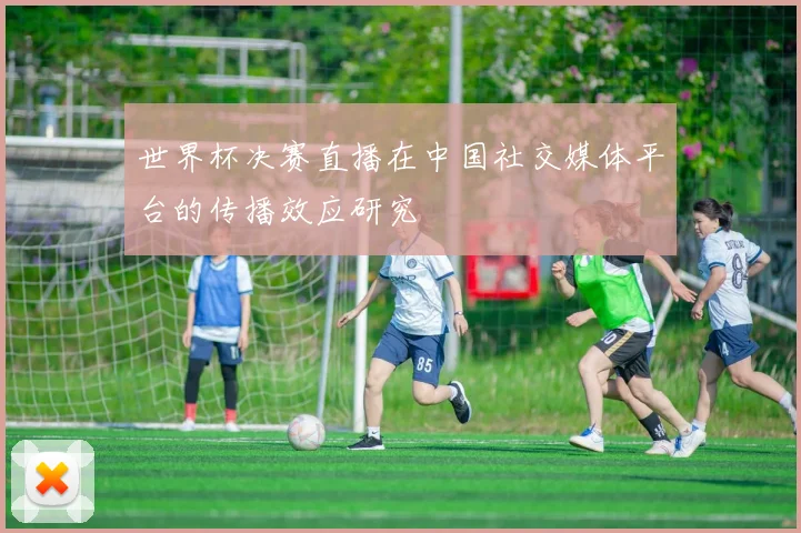 世界杯决赛直播在中国社交媒体平台的传播效应研究